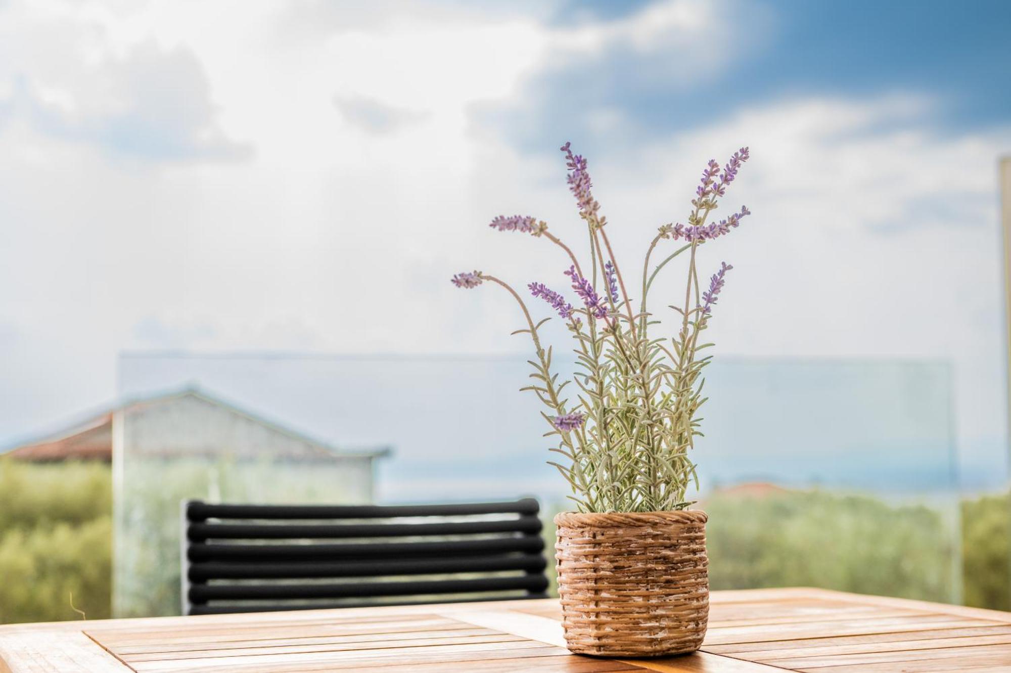 Petradi Suites Kalamata Exteriér fotografie